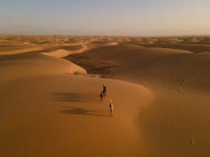 mauritania trip