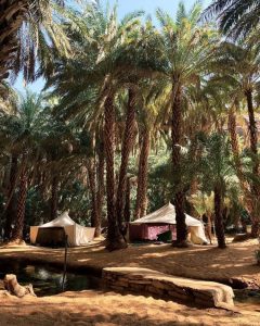 mauritania terjit oasis tents